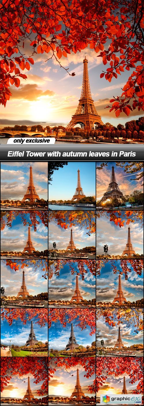 Eiffel Tower with autumn leaves in Paris - 15 UHQ JPEG